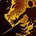 World in Flames