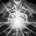 Soul Warding
